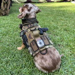 K9R - M5 MOLLE Light Vest